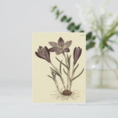 Grote Paarse voorjaarsbloei Botanische illustratie Briefkaart (Staand voorkant)