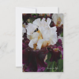 Grote Paarse & Witte Iris Notitiekaartje