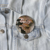 Grote paddenstoel Button (In situ)