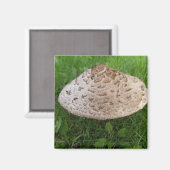 Grote paddenstoel in het gras Foto Magneet (Voorkant / Achterkant)