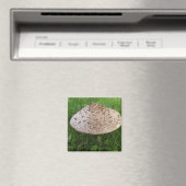 Grote paddenstoel in het gras Foto Magneet (Insitu (Vaatwasser))
