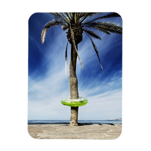 Grote palmboom op een zandig strand met opblaasbaa magneet