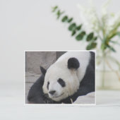 grote panda - glimlach briefkaart (Staand voorkant)
