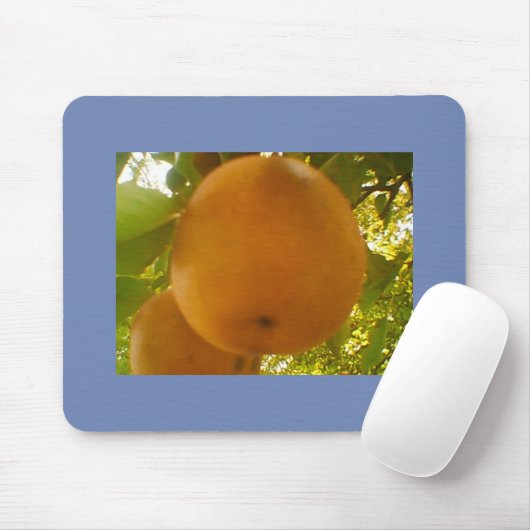 Grote peren muismat (Met muis)