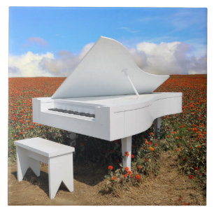 Grote piano op het gebied van Zinnia Tegeltje