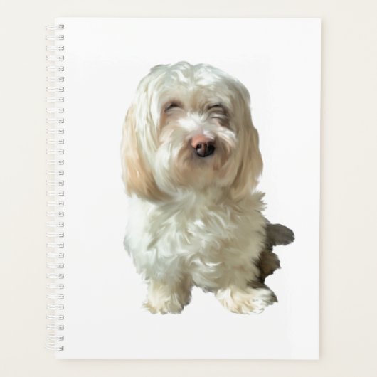 Grote planner Havanese Dog (Voorkant)