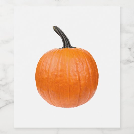 Grote pompoen wijn etiket (Enkel label)