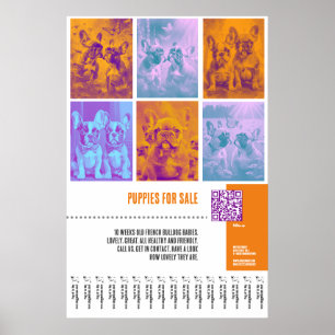 Grote poster met Franse Bulldog Pups te Koop