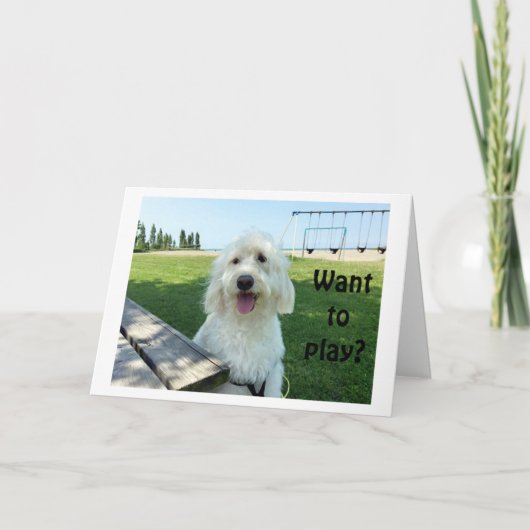 GROTE PRATENDE HOND ZEGT WIL SPELEN? VERJAARDAG KA KAART (Voorkant)