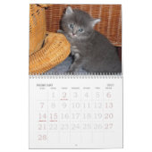 Grote print muurkalender 2023 - Katten Kalender (Feb 2027)