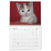 Grote print muurkalender 2023 - Katten Kalender (Jan 2027)