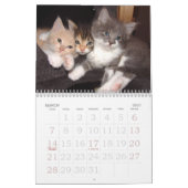 Grote print muurkalender 2023 - Katten Kalender (Mar 2027)