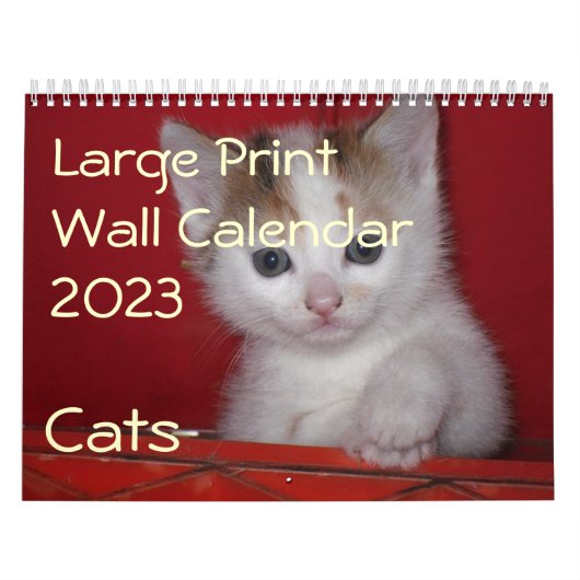 Grote print muurkalender 2023 - Katten Kalender (Hoes)
