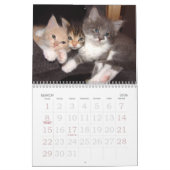 Grote print muurkalender 2023 - Katten Kalender (Mar 2026)