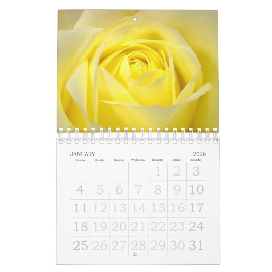 Grote Printkalender 2017 Rozen Klein Kalender (Jan 2026)