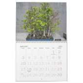 Grote Printkalender 2023 - Bonsai Kalender (Jan 2027)