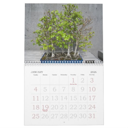 Grote Printkalender 2023 - Bonsai Kalender (Jan 2026)