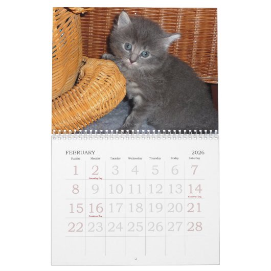 Grote printwandkalender 2023 - Katten Kalender (Feb 2026)