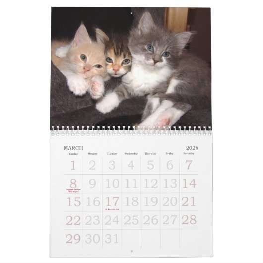 Grote printwandkalender 2023 - Katten Kalender (Mar 2026)