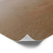 Grote Prismatische Lente Poster (Hoek)