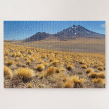 Grote puzzel met een prachtig landschap Uitzicht