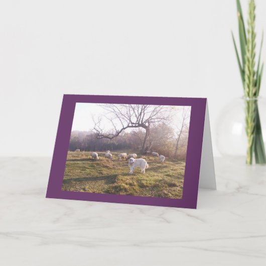 Grote Pyr en Troep Kaart (Voorkant)