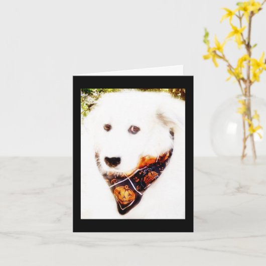 Grote Pyr Halloween Kaart (Gele Bloem)