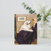 Grote Pyreneeën 2 - De moeder van WHistler Briefkaart (Staand voorkant)