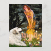 Grote Pyreneeën 2 - Middernacht Briefkaart (Voorkant)