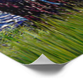 Grote Pyreneeën 3 - Sterrennacht Poster (Hoek)