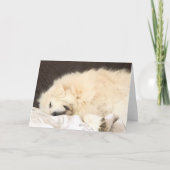 Grote pyreneeën blanco kaart (Voorkant)