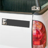 Grote Pyreneeën Bumperstickers (Op Truck)