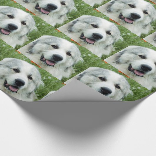 Grote Pyreneeën Cadeaupapier (Hoek)