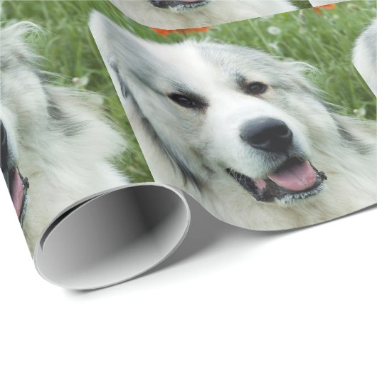 Grote Pyreneeën Cadeaupapier (Rol Hoek)