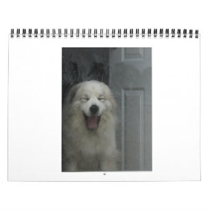 Grote Pyreneeën Calender Kalender
