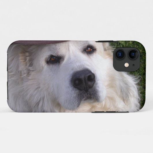 Grote Pyreneeën Case-Mate iPhone Case (Achterkant (horizontaal))