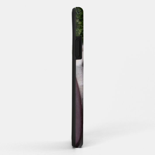 Grote Pyreneeën Case-Mate iPhone Case (Achterkant/rechts)