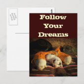 Grote Pyreneeën Dream Big Briefkaart (Voorkant / Achterkant)