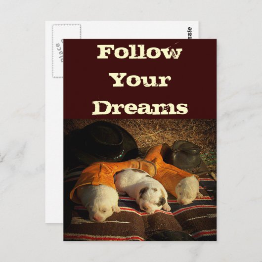 Grote Pyreneeën Dream Big Briefkaart (Voorkant / Achterkant)