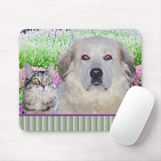 Grote Pyreneeën en Buddy Muismat (Met muis)