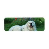 Grote Pyreneeën Etiket (Voorkant)