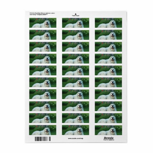 Grote Pyreneeën Etiket (Full Sheet)