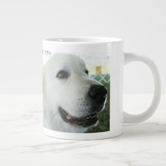 Grote Pyreneeën Grote Koffiekop (Rechts)