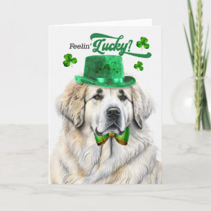Grote Pyreneeën Hond Gevoel 'Lucky St Patrick's Da Feestdagen Kaart