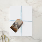 Grote Pyreneeën in de herfst laat Herfst inspirere Cadeaulabel (Met Touw)