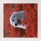 Grote Pyreneeën in het gebied van de Rode Bloemen Legpuzzel (Verticaal)