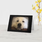 Grote Pyreneeën Kaart (Gele Bloem)