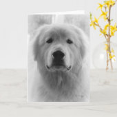 Grote Pyreneeën Kaart (Gele Bloem)