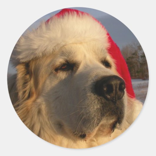 Grote Pyreneeën Kerst sticker (Voorkant)