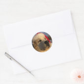 Grote Pyreneeën Kerst sticker (Envelop)